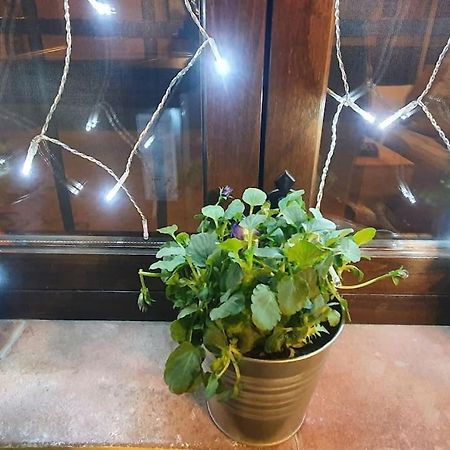 Apartamento Sefardi, Barrio Judio De Hervás エクステリア 写真