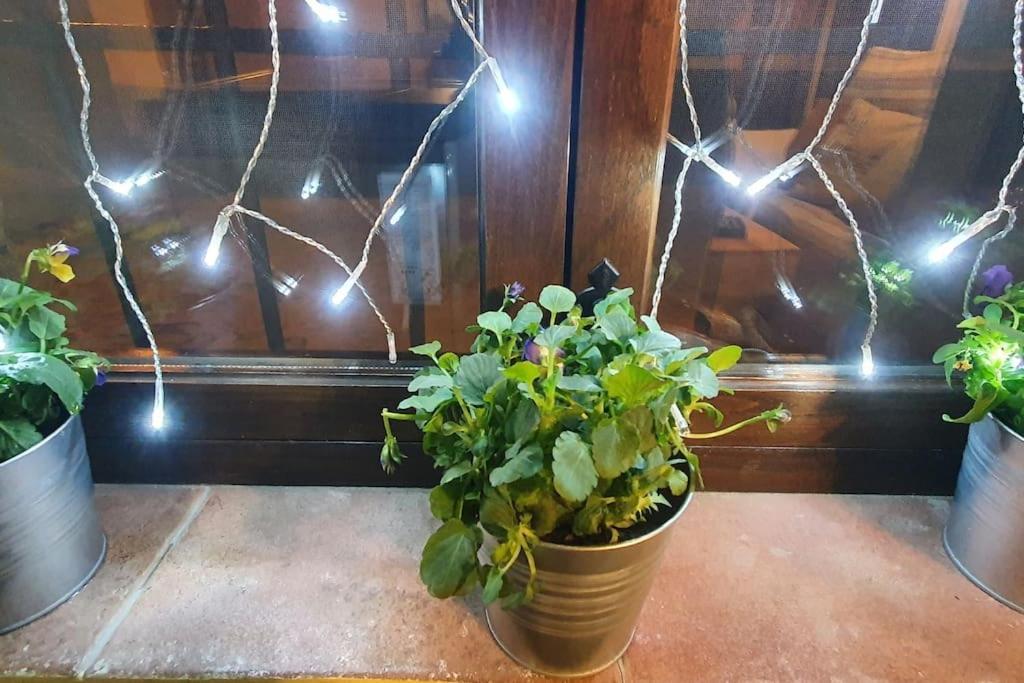Apartamento Sefardi, Barrio Judio De Hervás エクステリア 写真